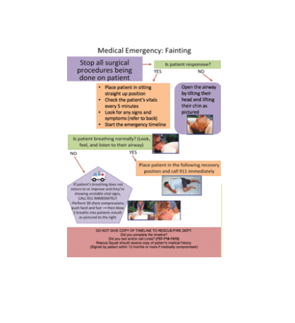 Emergency First Aid Flow Chart